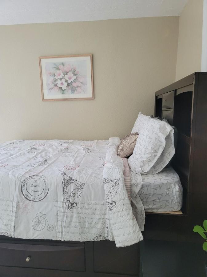 Entire Guesthouse 5 Mins To Siesta Key & Downtown Sarasota Zewnętrze zdjęcie